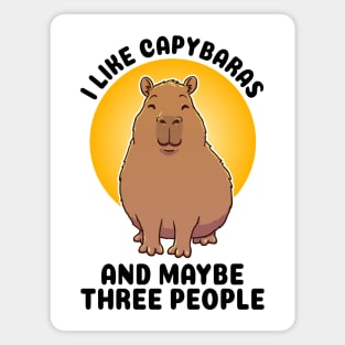 I like Capybaras and maybe three people Magnet